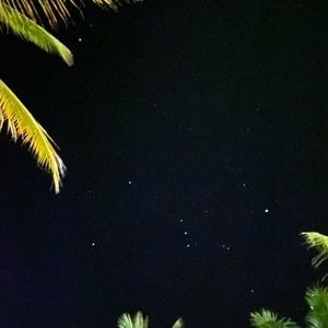 Meet your Posher, Puja